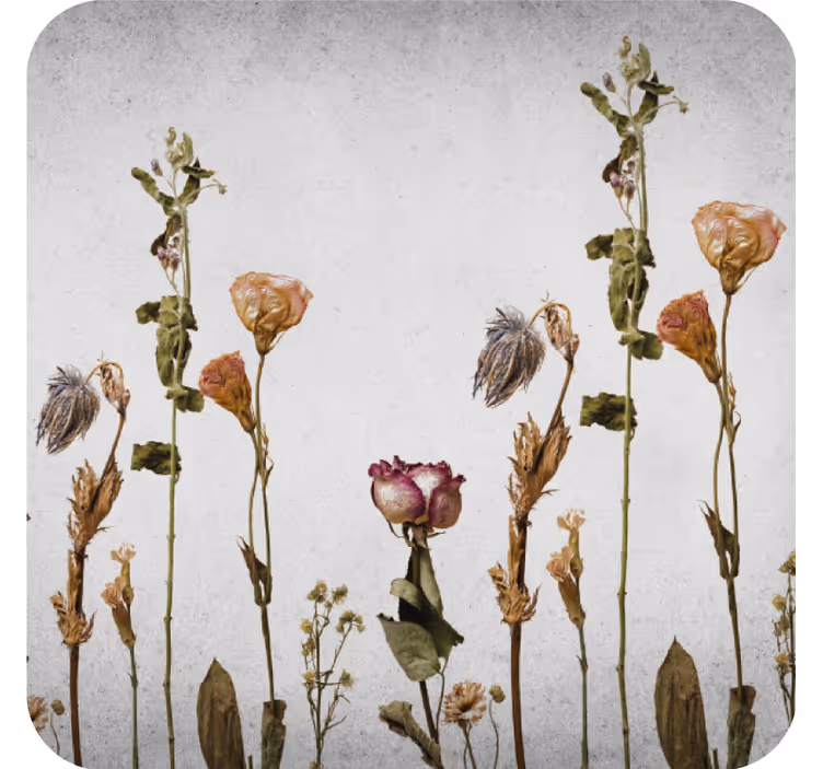Glasunderlägg torkad blomsterarrangemang - Tenstickers