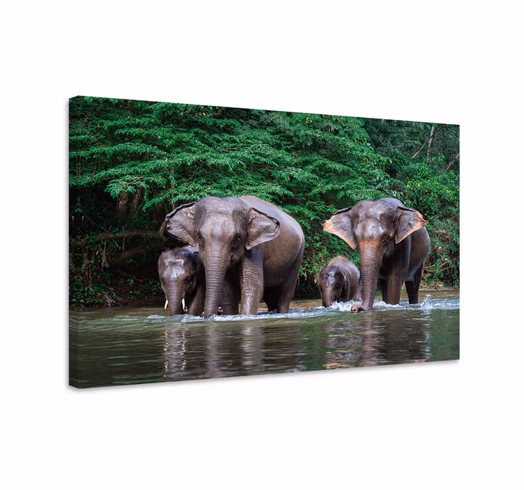 Kanvas elefant djungel med djur - Tenstickers