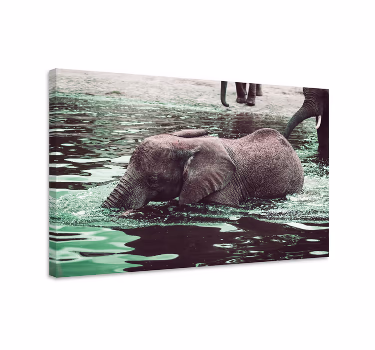 Kanvas elefant drickande babyelefanter - Tenstickers