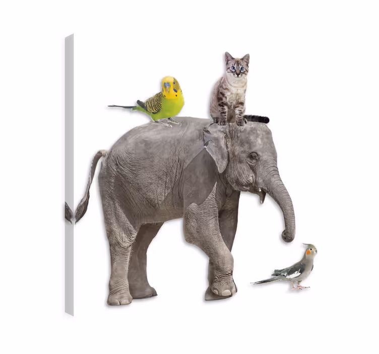 Kanvas elefant och andra djur - Tenstickers