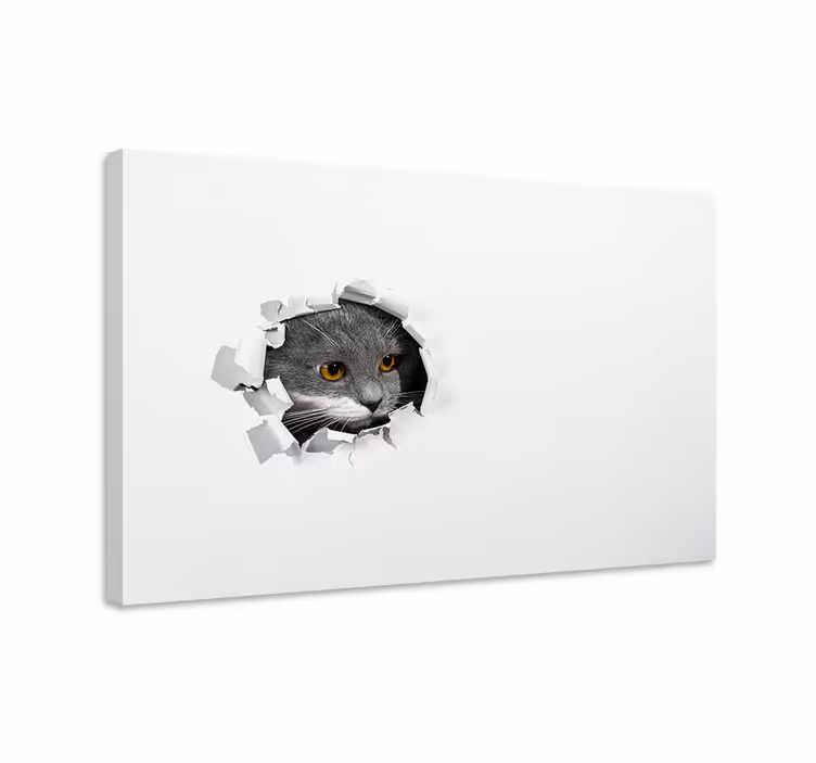 Kanvas katter söta katter - Tenstickers