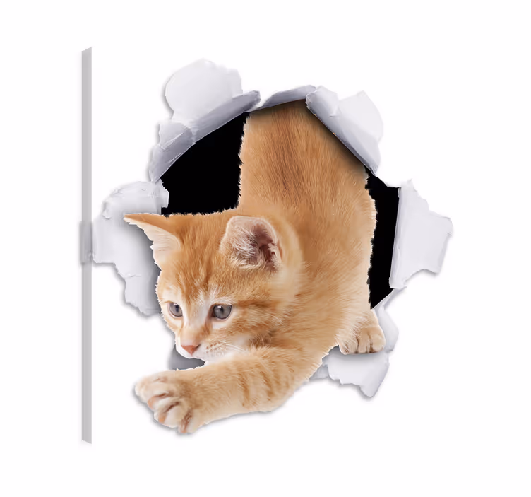 Kanvas katter dekorativ vinyl illusionskatt - Tenstickers