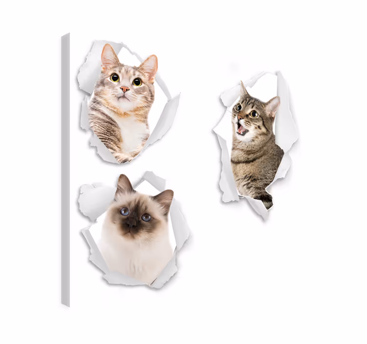 Kanvas katter kattungar trampantojo - Tenstickers