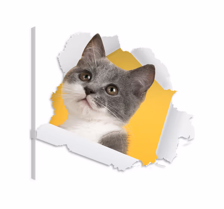 Kanvas katter 3d kattklistermärke - Tenstickers