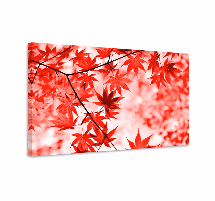 Levande röda lönnlöv Kanvas blommor och växter - Tenstickers