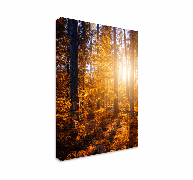 Skog sol träd landskapcanvas tavla - Tenstickers