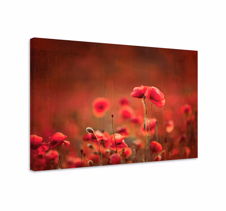 Vallmofältcanvas tavla canvas tavla för sovrummet - Tenstickers