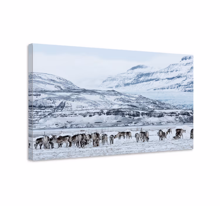Kanvas dinosaurie renhjortshägn - Tenstickers