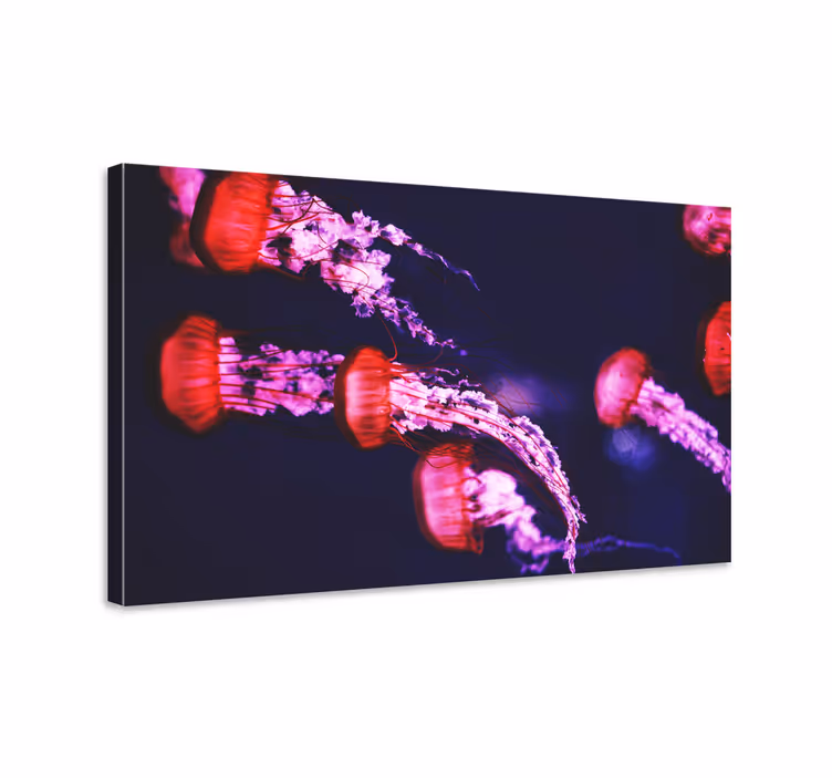 Maneter design djur canvas tryck - Tenstickers