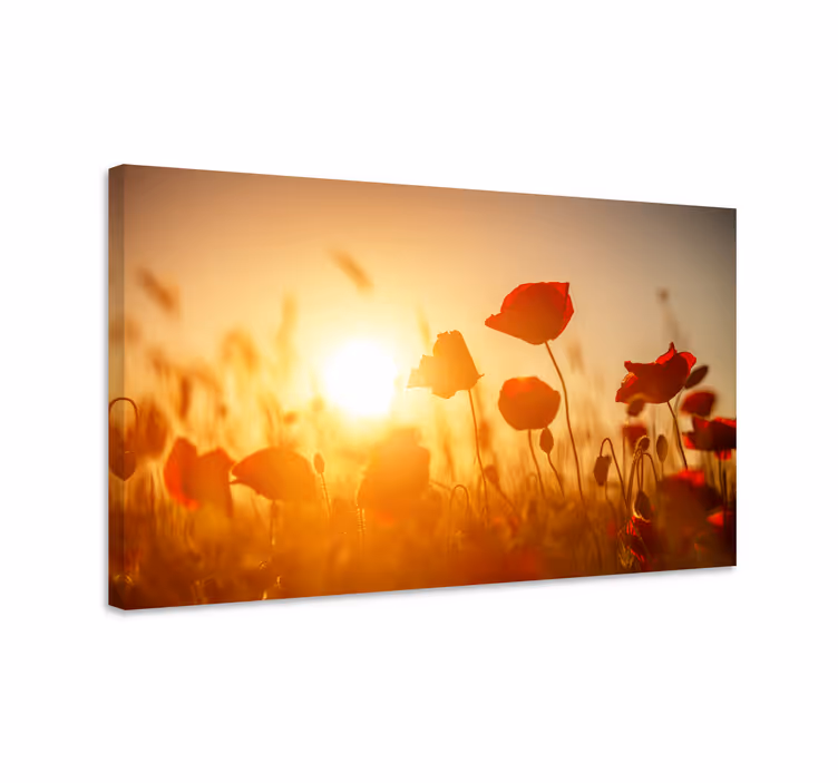 Kanvas blommor och växter poppy field glöd - Tenstickers