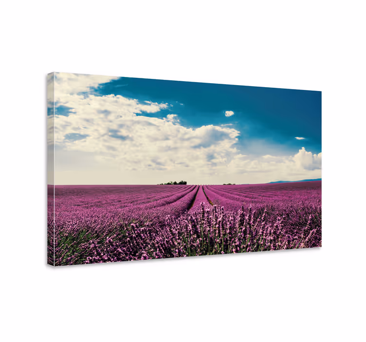 Ljung sunfall blommacanvas tavla - Tenstickers