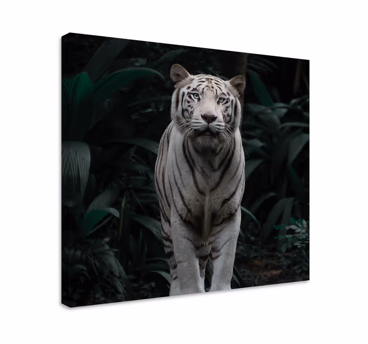 Vit tiger djur kanvastryck - Tenstickers