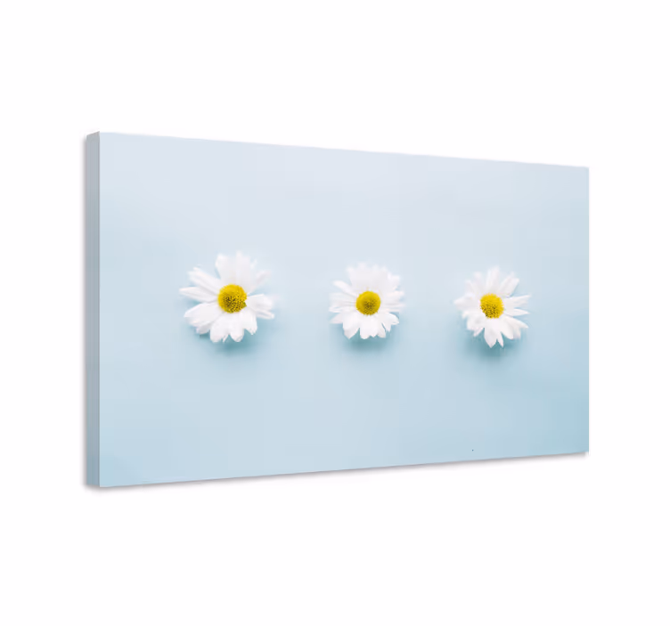 Tre tusenskönablommor på blå blommaduk - Tenstickers