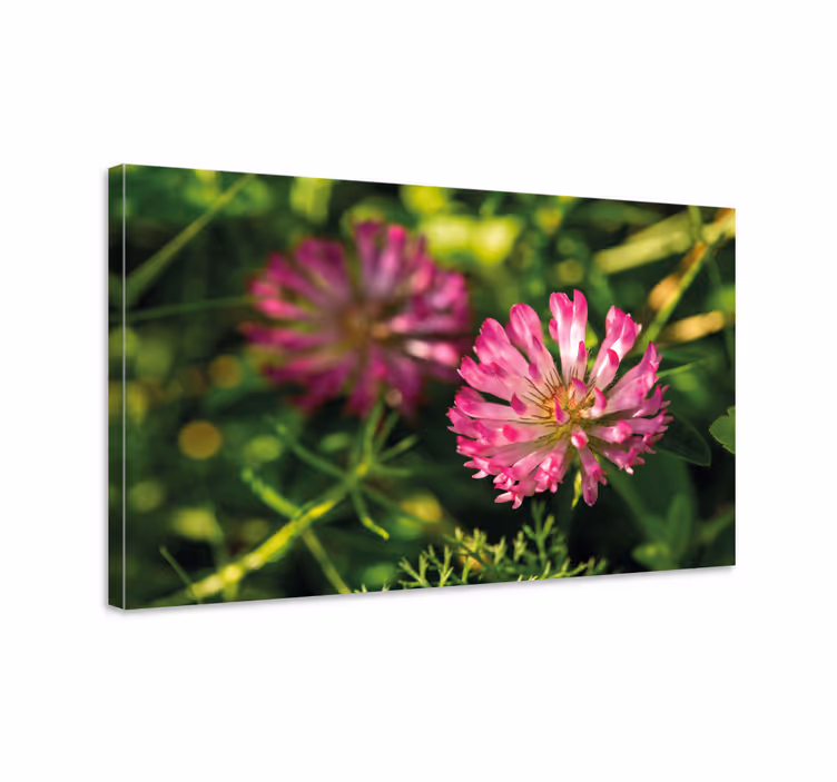 Kanvas blommor och växter rosa blomkluster - Tenstickers