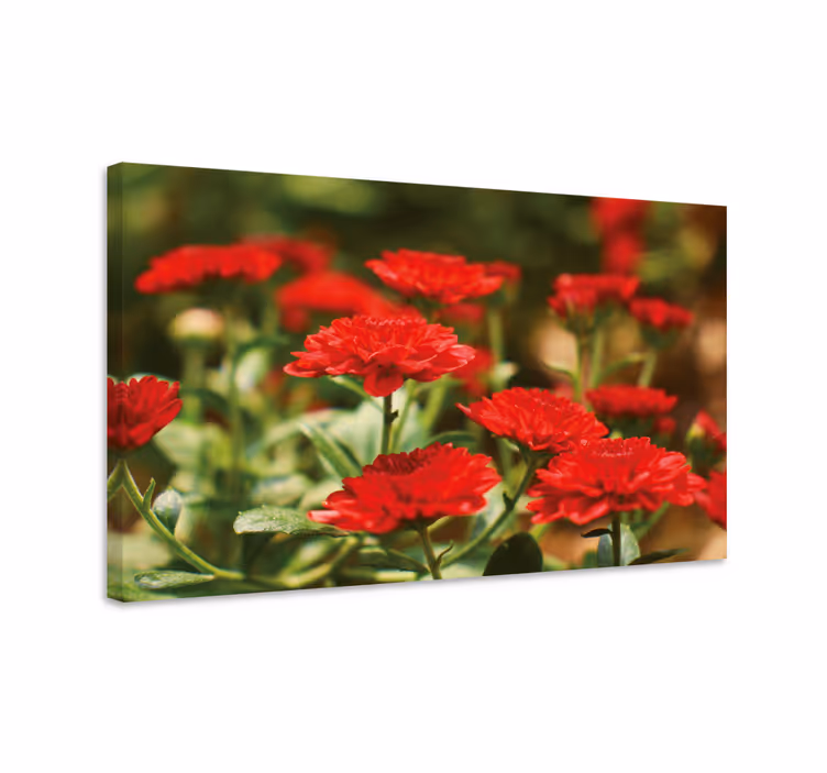 Röd kryddnejlika tysk blommacanvas tavla - Tenstickers
