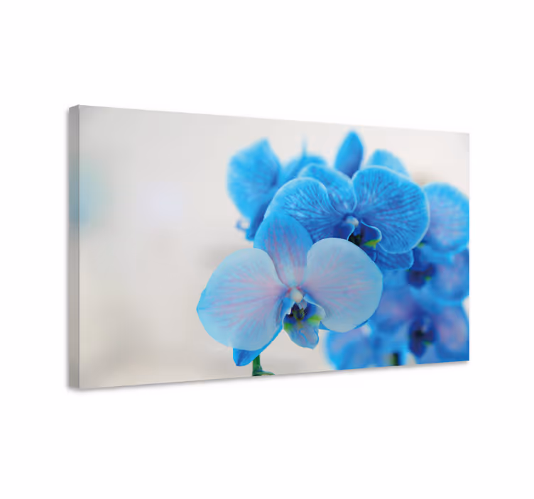 Blå orkidé blommacanvas tavla - Tenstickers