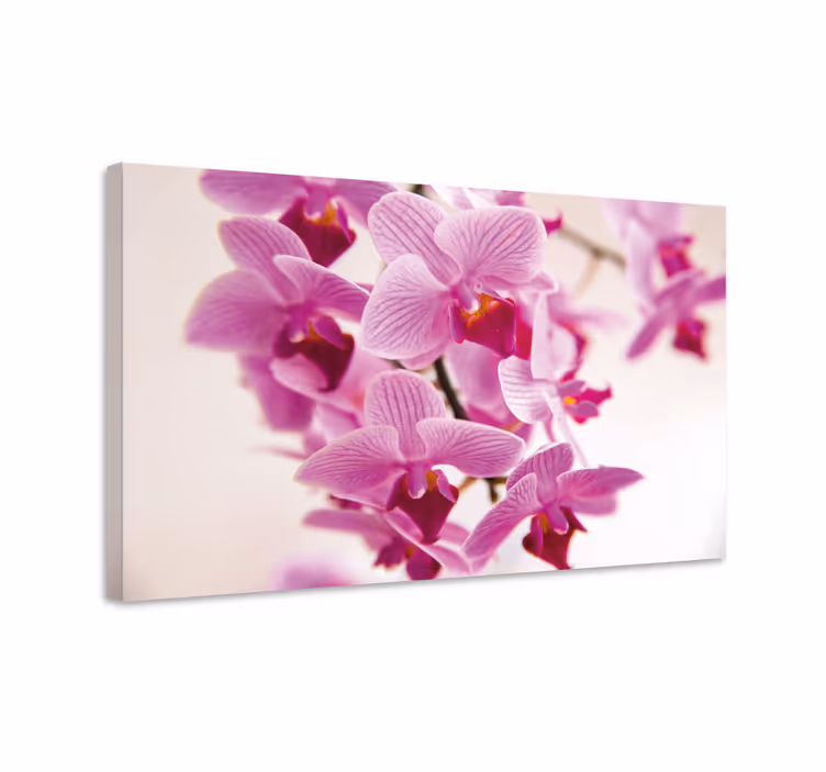 Lysande orkidé blommacanvas tavla - Tenstickers
