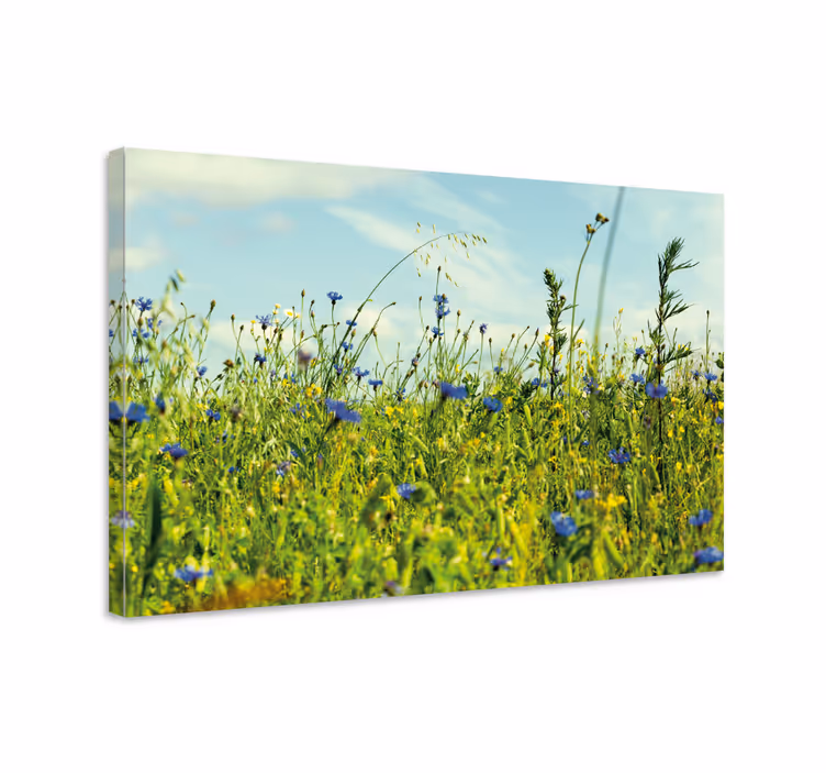 Kanvas blommor och växter äng av vilda blommor - Tenstickers