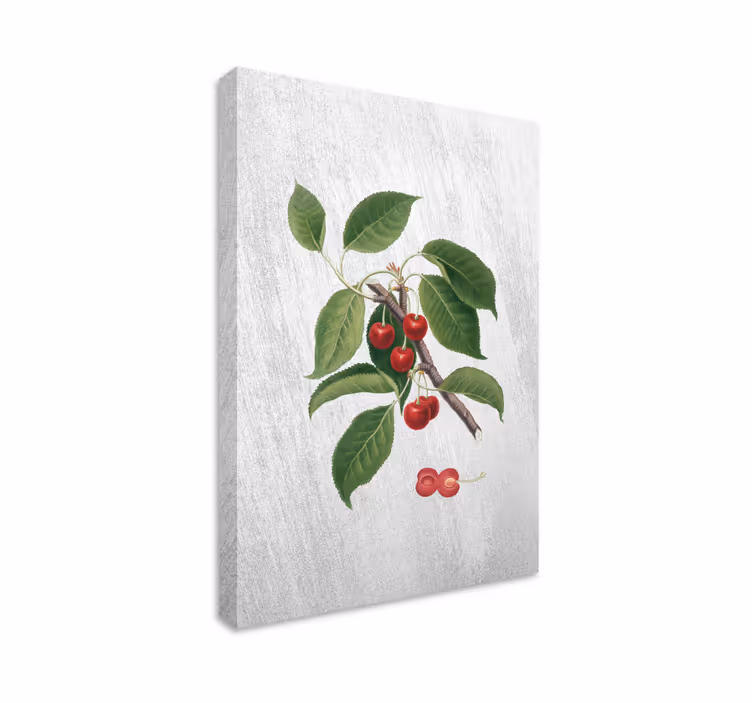 Sur körsbär elegant träd vägg konstcanvas tavla - Tenstickers