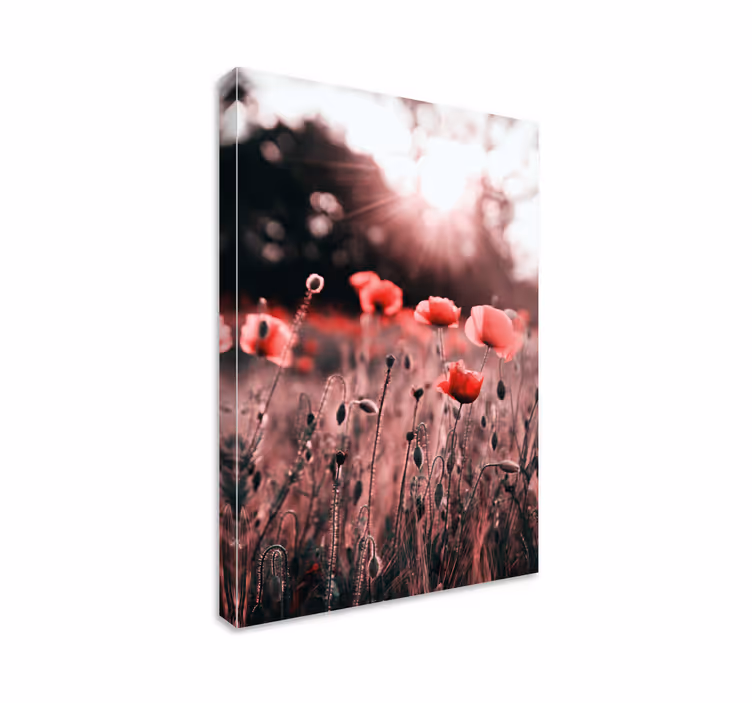 Kanvas blommor och växter poppyängens strålar - Tenstickers