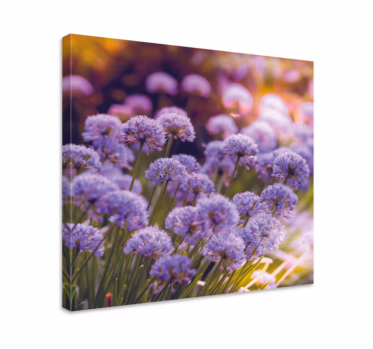 Lila blomma fält blommacanvas tavla - Tenstickers