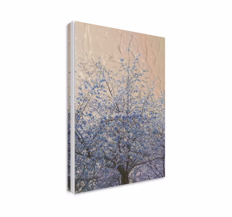 Blommande grenar Kanvas blommor - Tenstickers