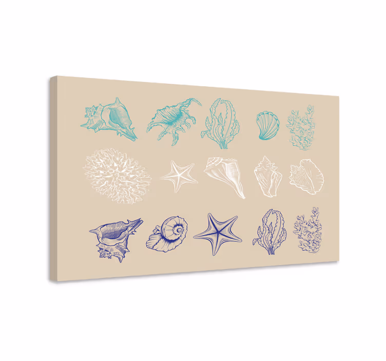 Snäckskal mönster entrécanvas tavla konst - Tenstickers