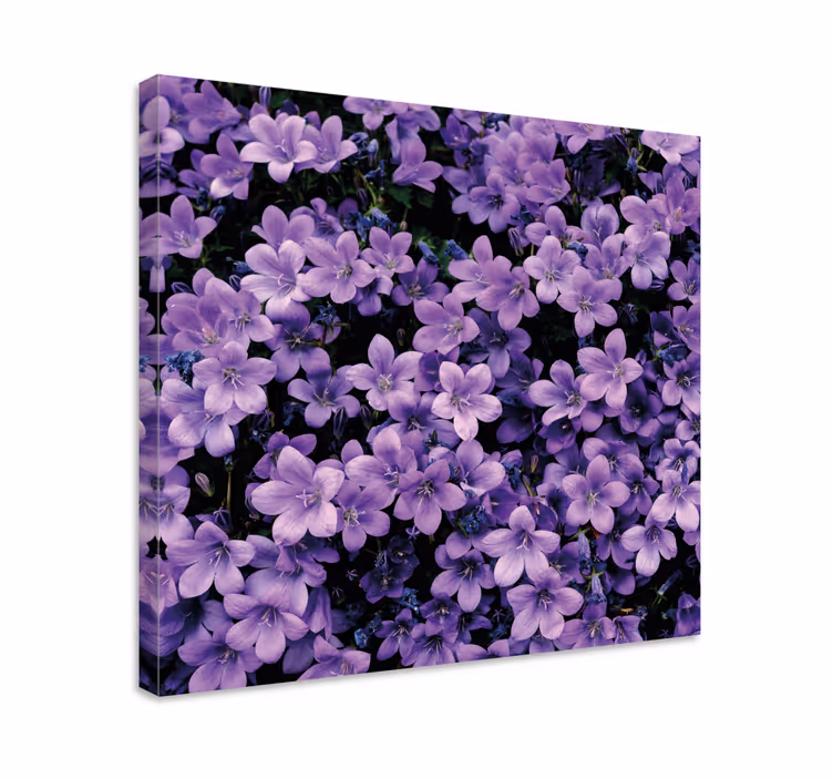 Vaga lila blommor blommacanvas tavla - Tenstickers