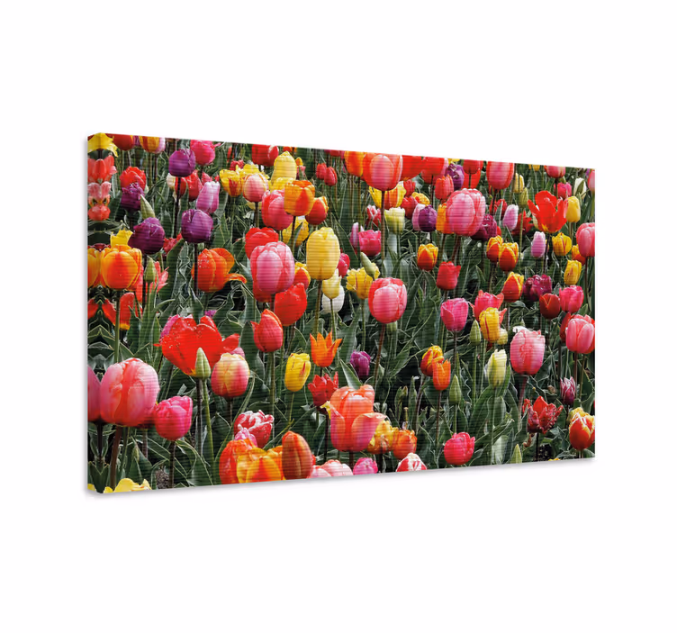 Kanvas blommor och växter färgglada tulpaner - Tenstickers