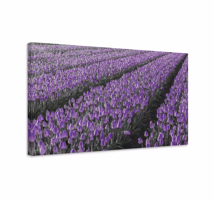 Kanvas blommor och växter lila tulpanfält - Tenstickers