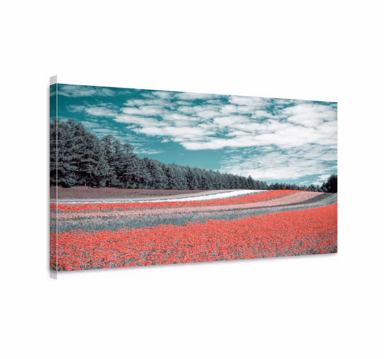 Kanvas landskap levande blomsterfält - Tenstickers