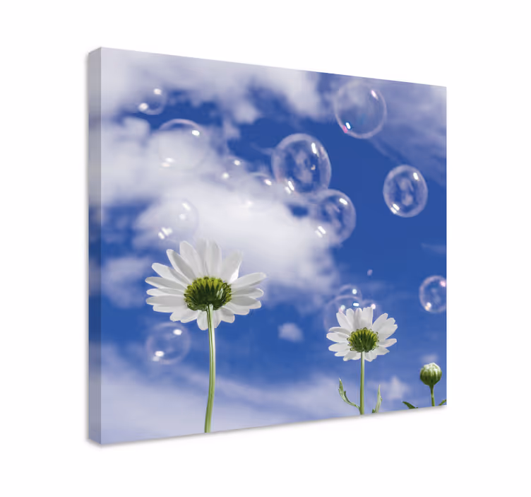 Prästkragar och bubblor Kanvas blommor och växter - Tenstickers
