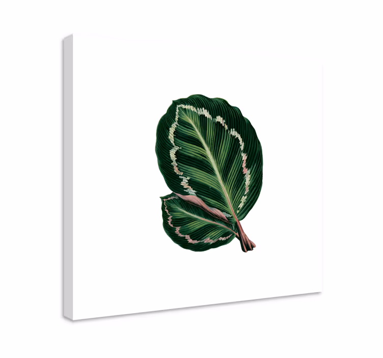 Kanvas blommor och växter stort blad design - Tenstickers