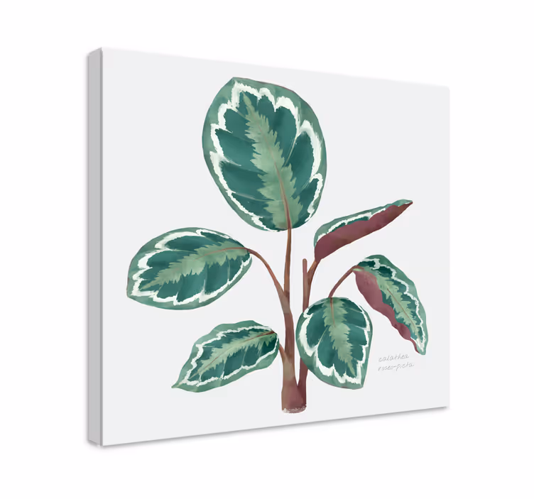 Livlig bladväxt Kanvas blommor och växter - Tenstickers