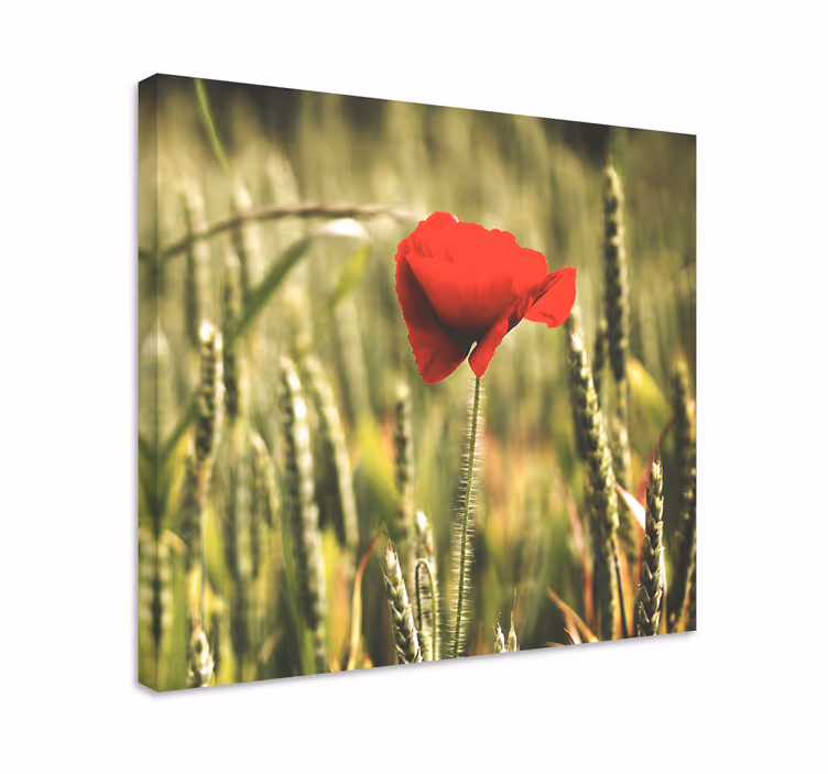 Kanvas blommor och växter röd blomma - Tenstickers