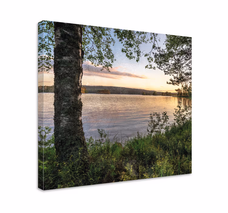 En skog vid sjön landskapcanvas tavla - Tenstickers