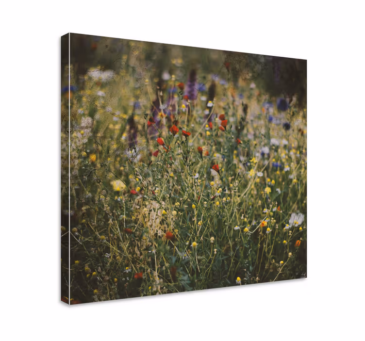 Kanvas blommor och växter vildblommornas äng - Tenstickers