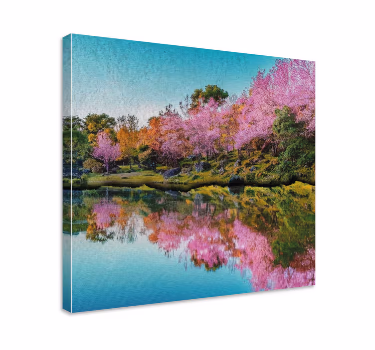 Reflektion av körsbärsblommor Kanvas landskap - Tenstickers