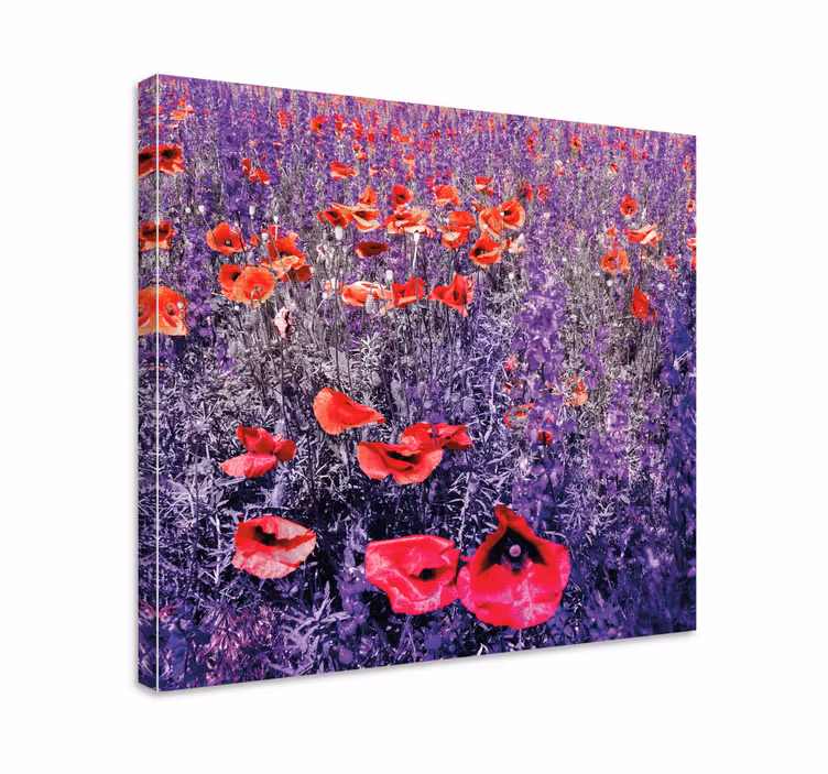 Vallmo och lavendel fält blommacanvas tavla - Tenstickers