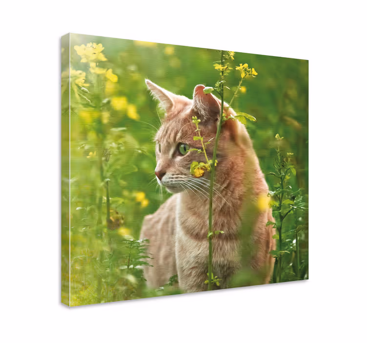 Söt katt i en blommig rymdblommarduk - Tenstickers
