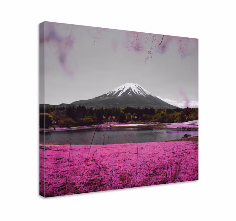 Rosa blommor fält i japan blommacanvas tavla - Tenstickers