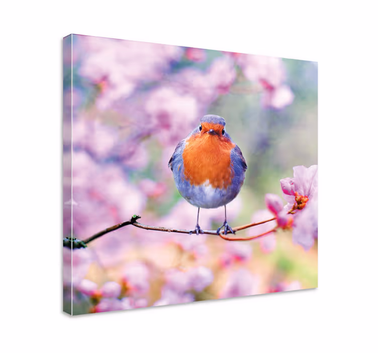 Små fåglar på en blommandecanvas tavla för trädblommor - Tenstickers