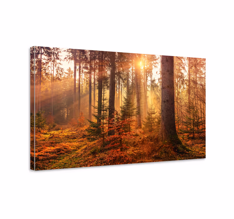 Perfekt höst skog landskapcanvas tavla - Tenstickers