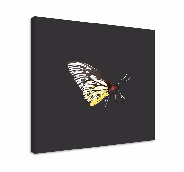 Kanvas fjärilar elegant fjärilsprofil - Tenstickers