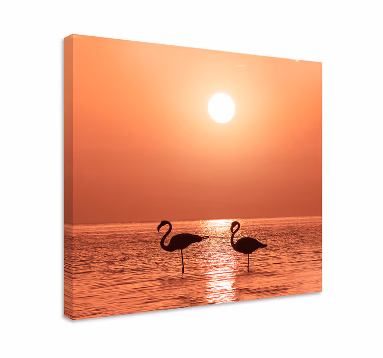 Fin flamingo med solnedgångcanvas tavla bilder konst - Tenstickers