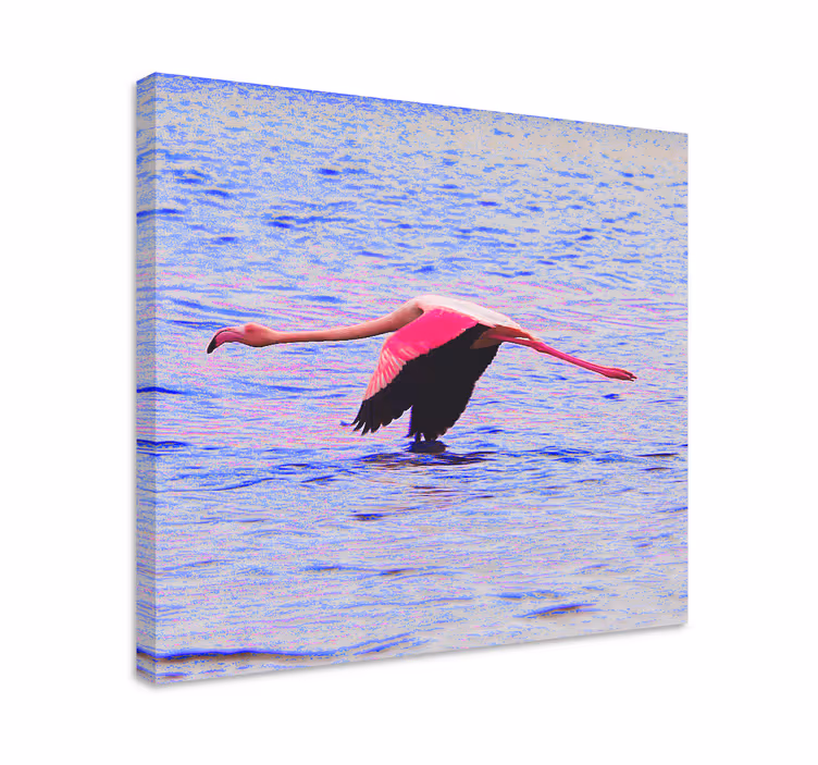 Kanvas fiskar flamingo i flykt - Tenstickers