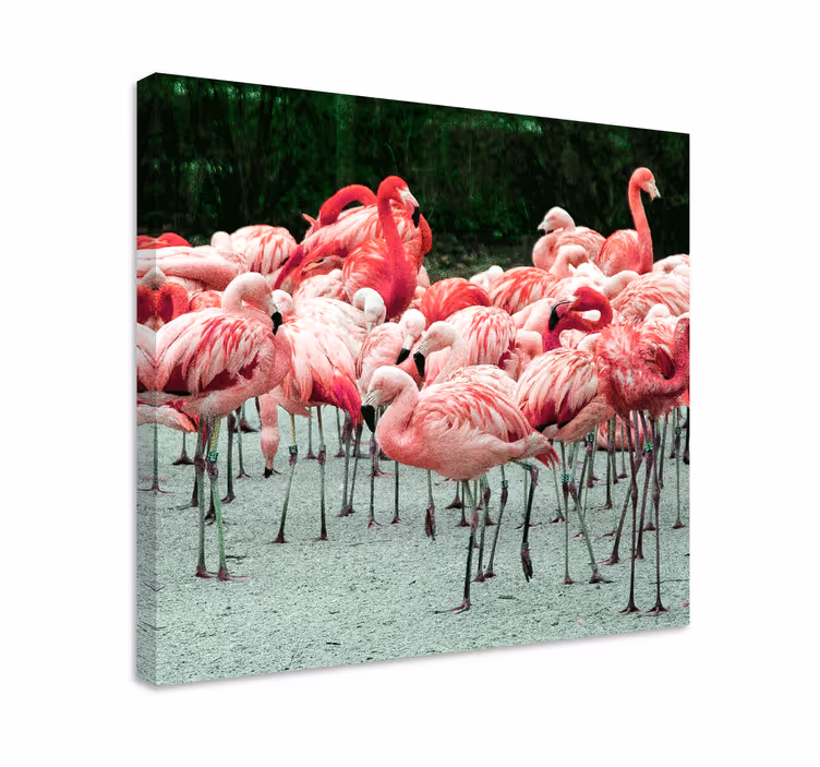 Kanvas fåglar flamingosvärm - Tenstickers