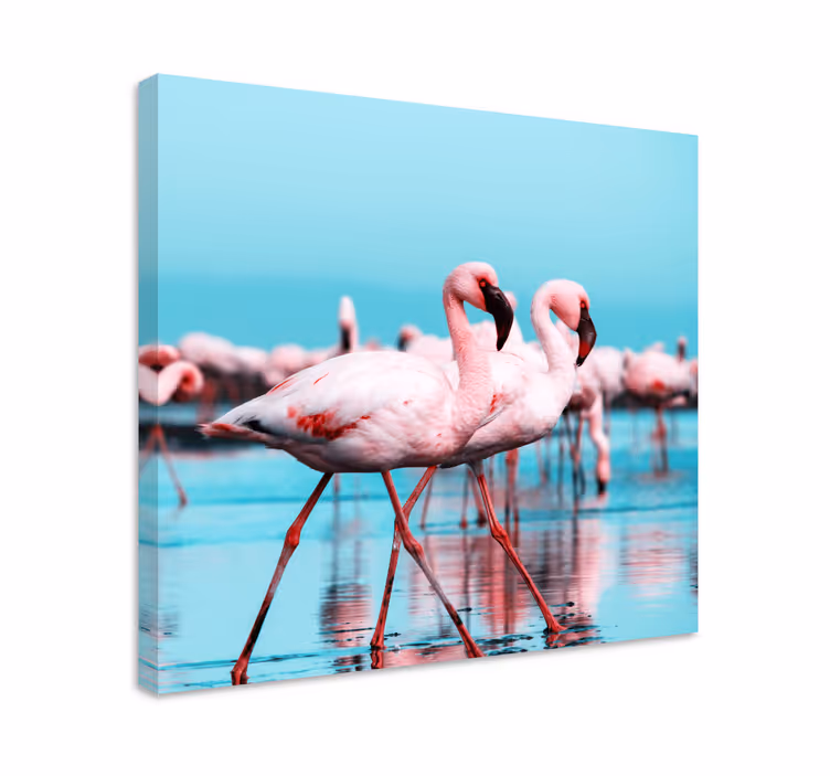 Kanvas fåglar majestätiska rosa flamingor - Tenstickers