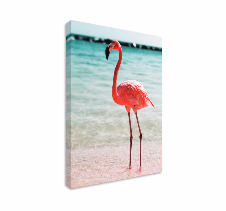Söta flamingor på strandencanvas tavla canvas tavla - Tenstickers
