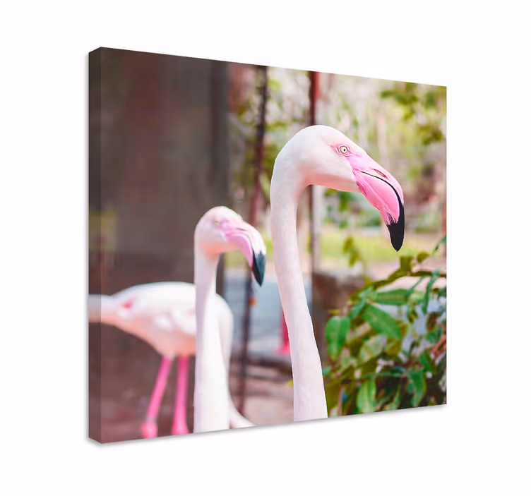 Kanvas fåglar eleganta flamingos tillsammans - Tenstickers
